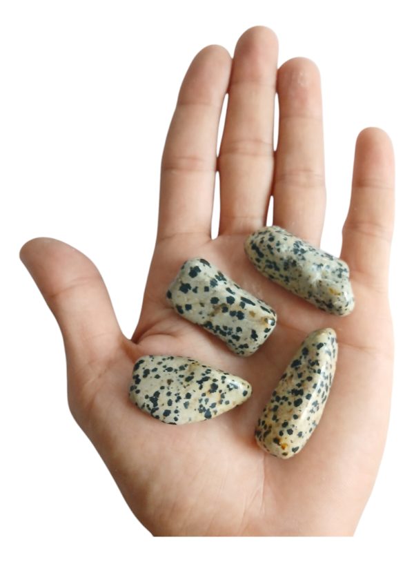 Jaspe Dálmata Piedra Natural Energética. Alegría - Imagen 2
