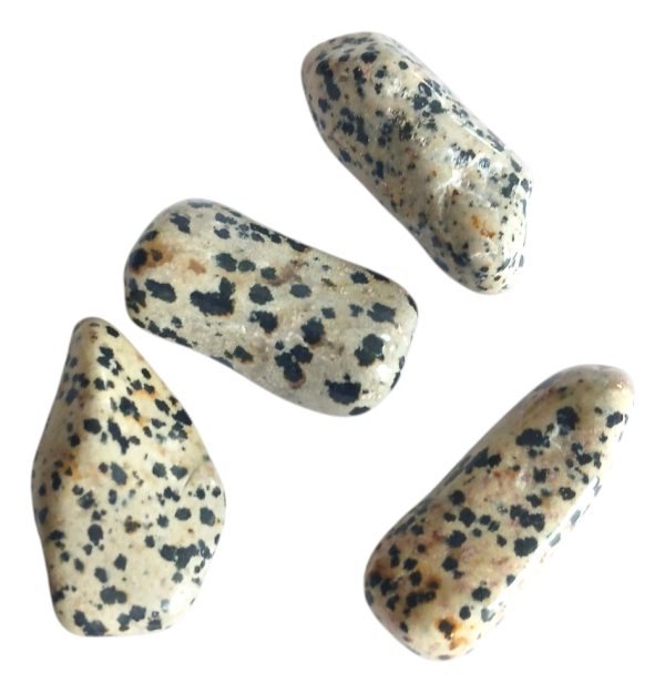 Jaspe Dálmata Piedra Natural Energética. Alegría