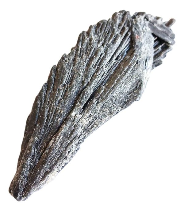 CIANITA NEGRA Grande - Desintoxicación y Limpieza Energética - Imagen 3