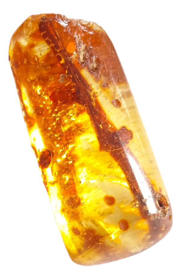 Ámbar Natural Autentico Mexicano. Pieza Única. Colección - Imagen 2