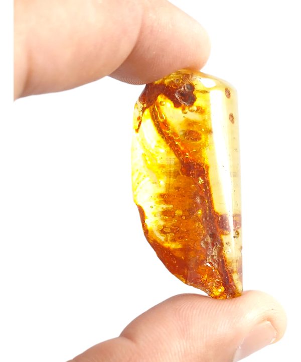 Ámbar Natural Autentico Mexicano. Pieza Única. Colección