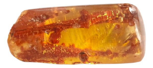 Ámbar Natural Autentico Mexicano. Pieza Única. Colección - Imagen 3